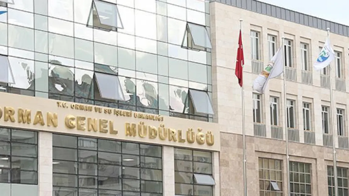 Orman Genel Müdürlüğünden Bir Garip İlan!