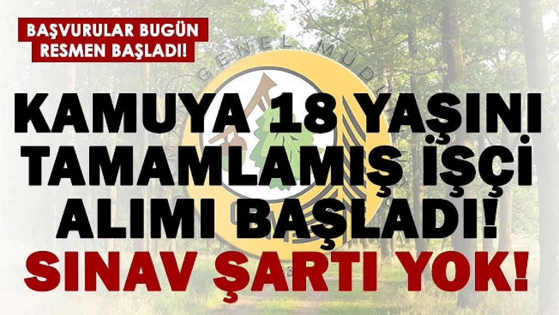 Orman İşletme Müdürlüğü 18 yaşını tamamlamış kamu işçisi alımına başladı!
