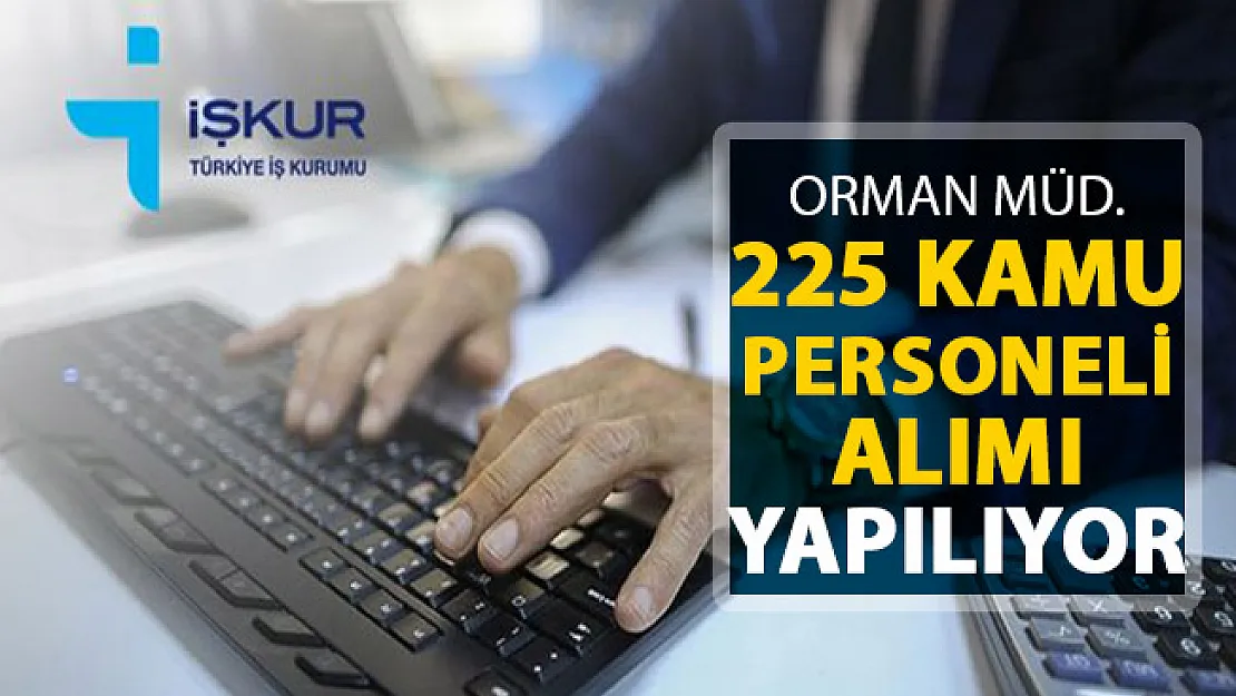 Orman Müdürlüklerine 225 Kamu Personeli Alımı Yapıyor ! Başvurular Sona Eriyor