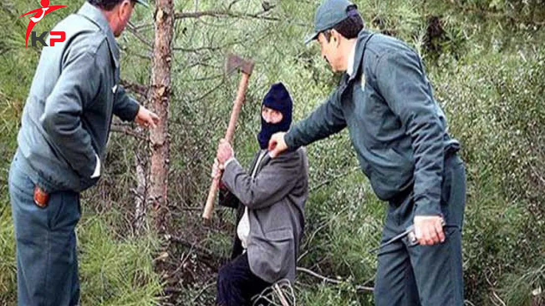 Orman Muhafaza Memurları Yeniden Mülakata Alınacak