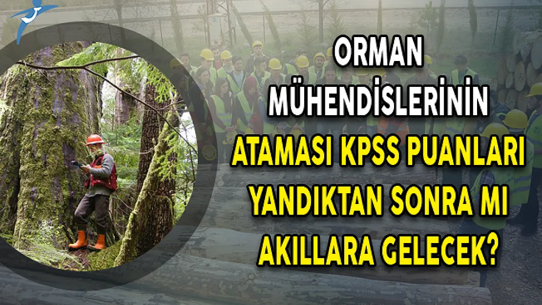 Orman Mühendislerinin Ataması KPSS Puanları Yandıktan Sonra Mı Akıllara Gelecek?