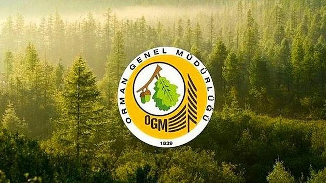 Orman ve Genel Müdürlüğü (OGM) 20 Aralık 2021'de memur alım ilanı yayınladı!