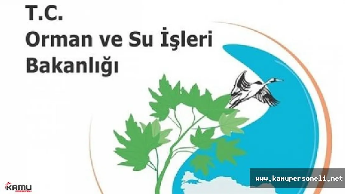 Orman ve Su İşleri Bakanlığı Sözleşmeli Personel Alım İlanı İptal Edildi