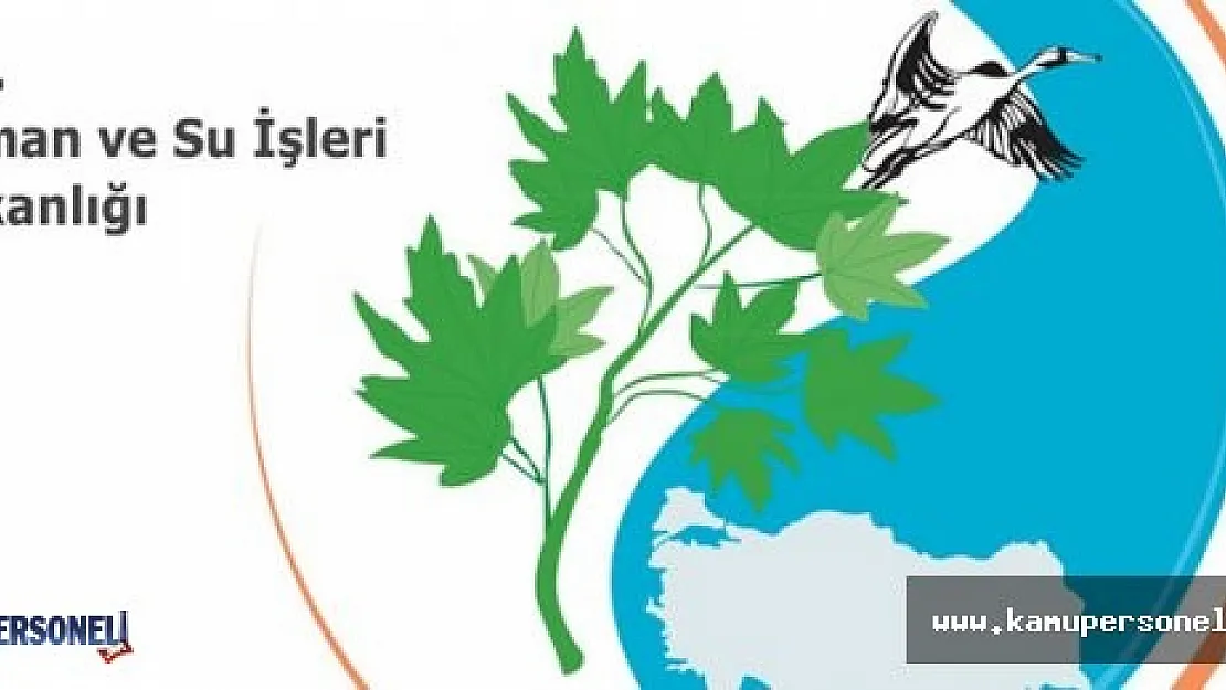Orman ve Su İşleri Bakanlığı Sözleşmeli Personel Alımı