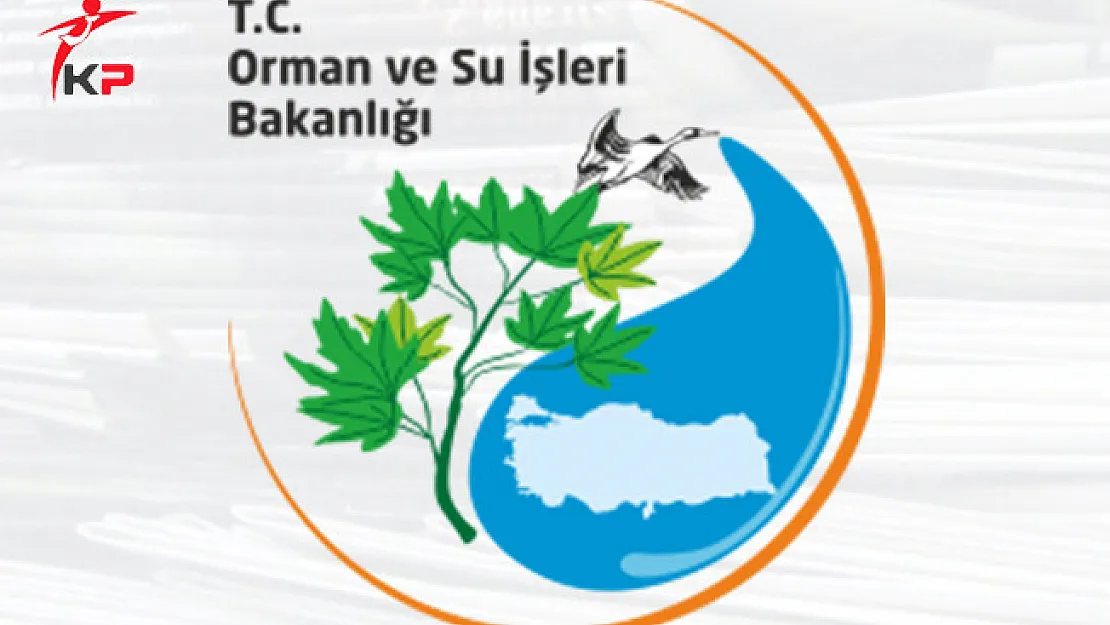 Orman ve Su İşleri Uzmanlığı Yeterlik Sınavı Sonuçları Açıklandı