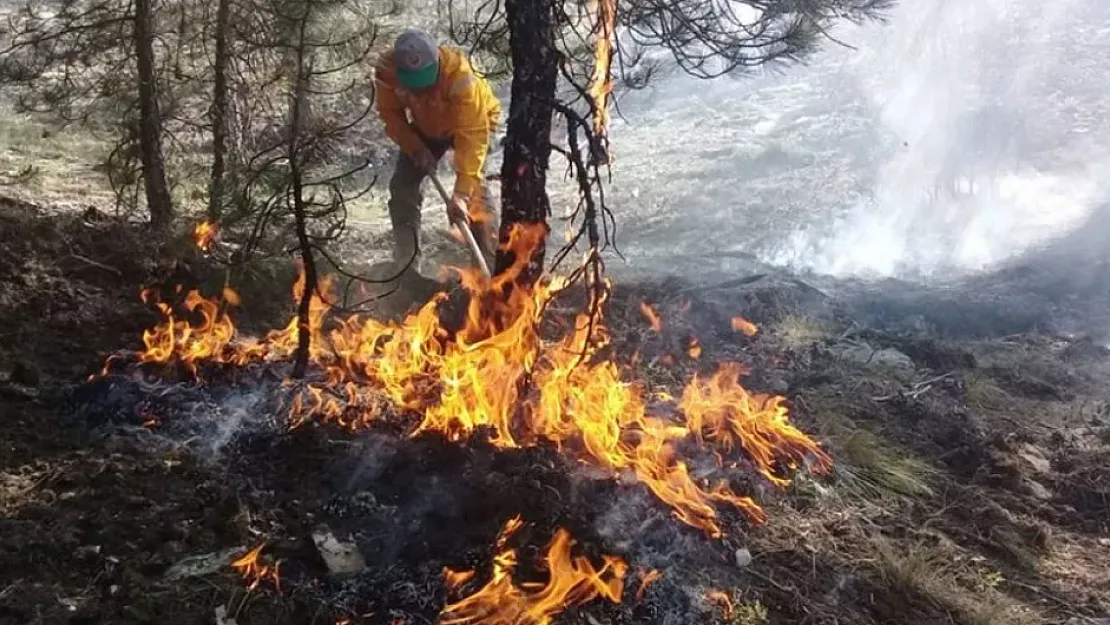 Orman yangınları fiyatları da yaktı! Artık bunu yemek lüks olacak: Fiyatı 400 TL'yi geçecek
