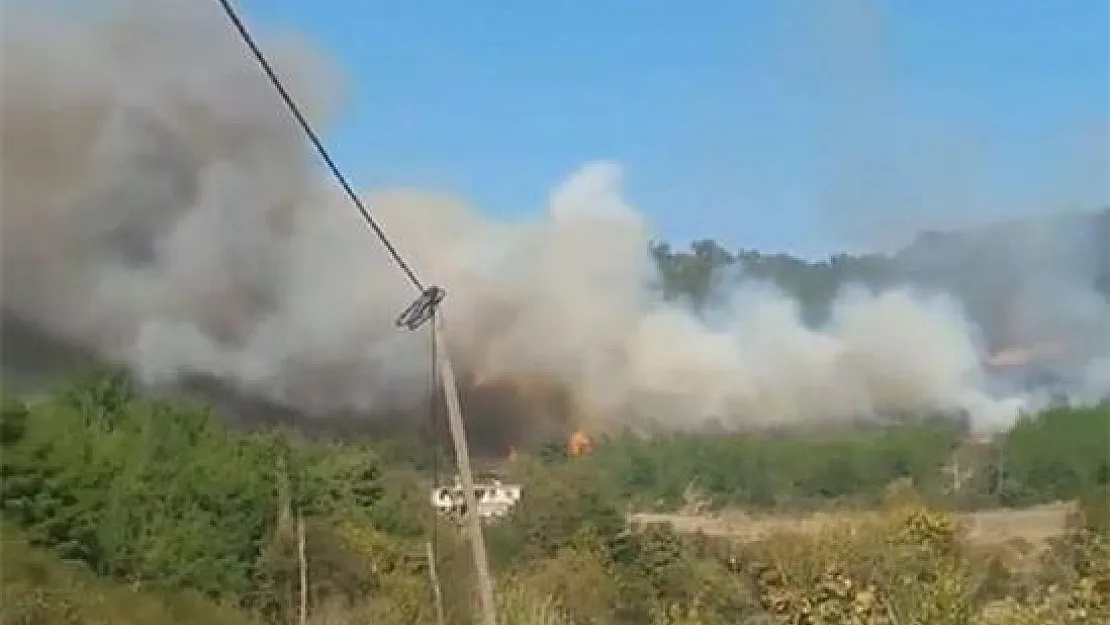 Osmaniye'nin Düziçi ilçesinde orman yangını!