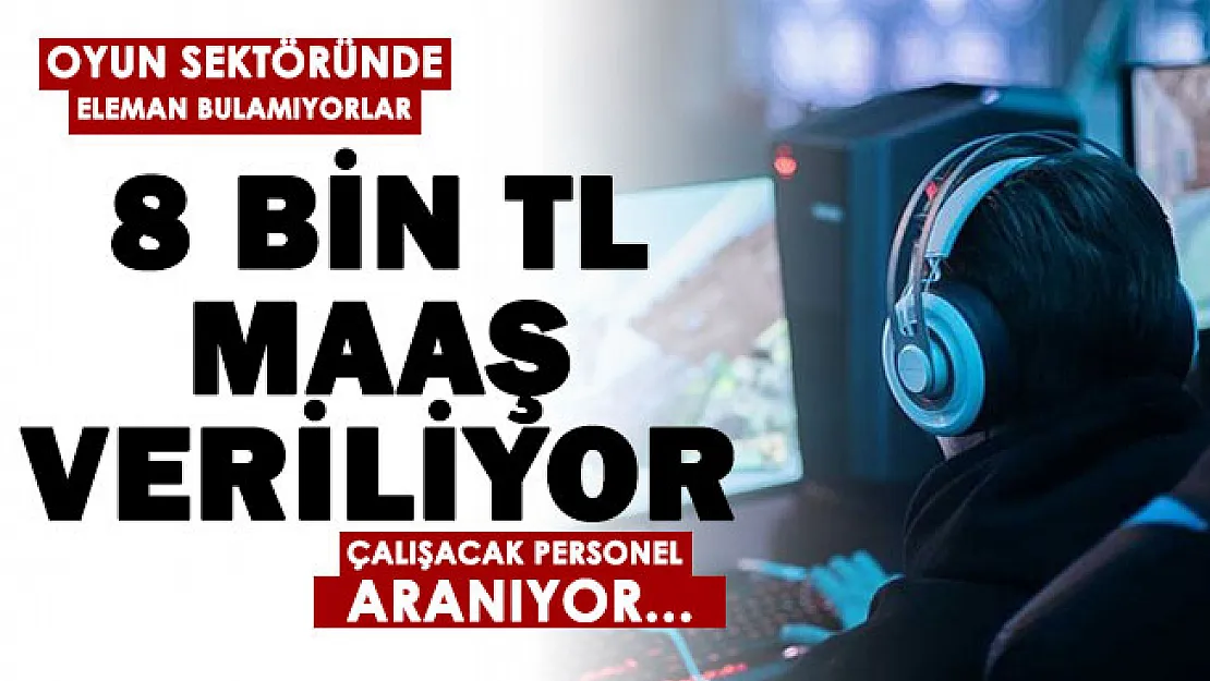 Oyun sektöründe çalışanlarına 8 bin lira maaş veriyorlar! Çalışacak eleman bulamıyorlar: Personel arıyorlar