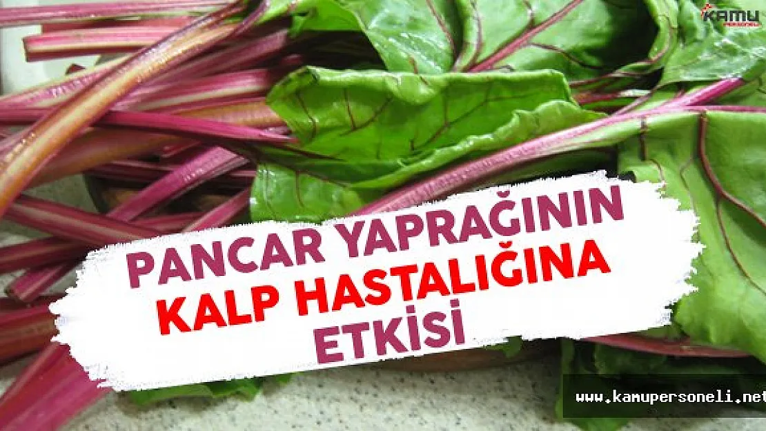 Pancar Yaprağının Kalp Hastalığına Büyük Faydası