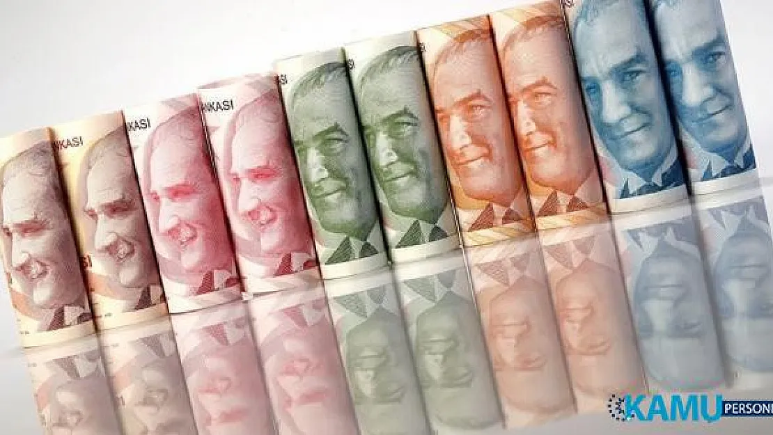 Para Birimleri Arasında En Çok Değer Kazanan TL Oldu ! Yatırımcılara TL Alın Tavsiyesi Yapıldı