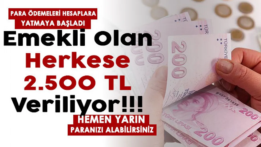 Paralar hesaplara yatırıldı! Emekli maaşı olan herkese 2.500 TL veriliyor! Hemen yarın paranızı alın