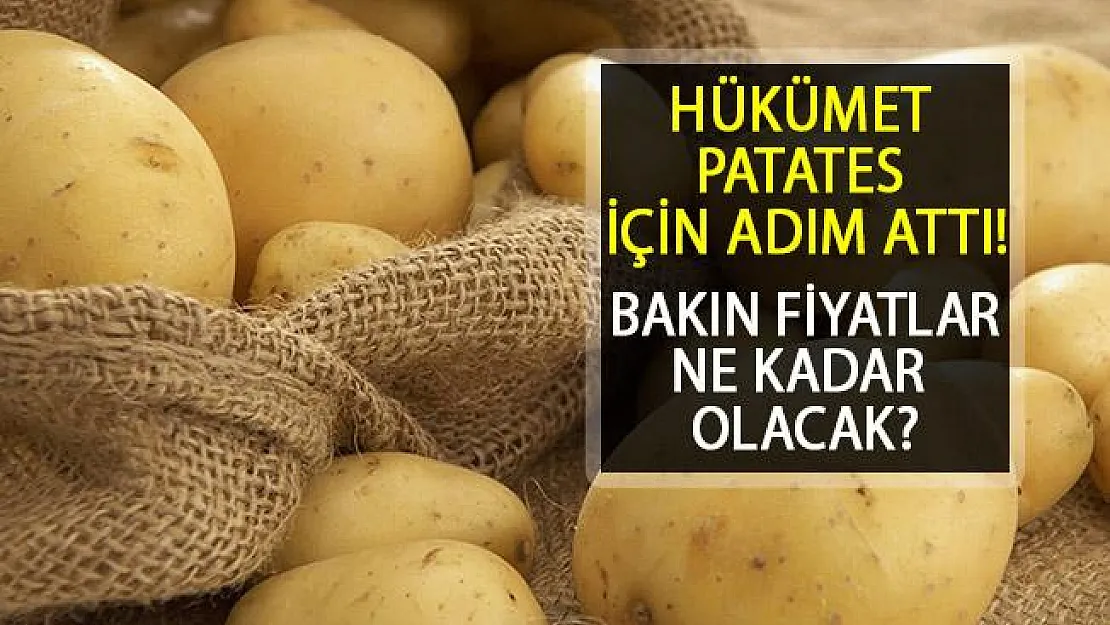 Patates Fiyatları İçin Adım Atıldı! Gümrük Vergisi Süresi Uzatıldı