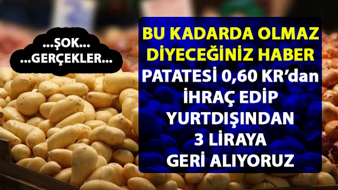 Patates fiyatları neden yükseldi? patatesi neden 0,633 kuruştan ihraç edip 3 liradan geri ithal ediyoruz?..