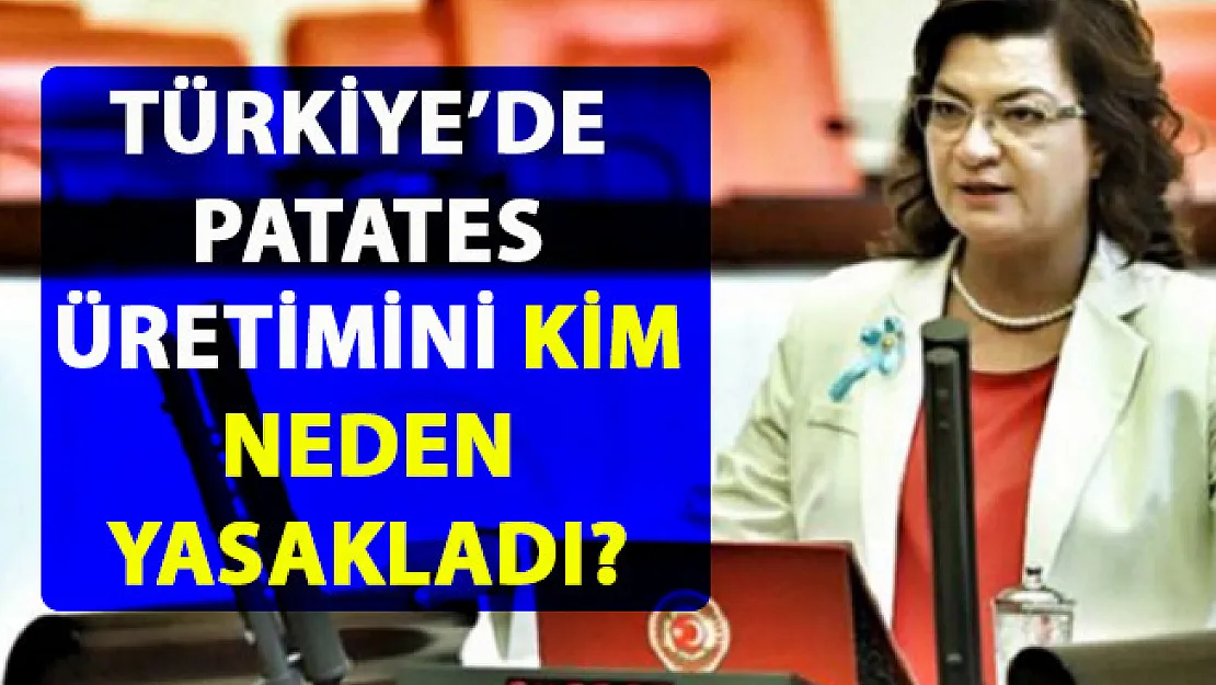 Patates üretimi yasağı! 25 ilde patates ekim yasağı neden getirildi?