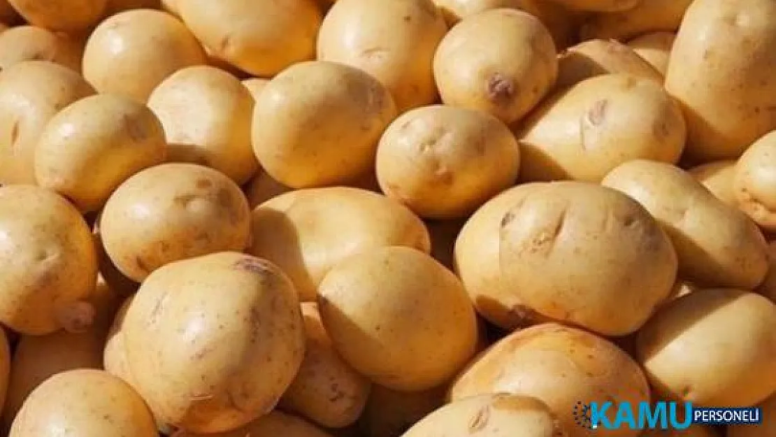 Patatesten üretici de tüketici de memnun! Patates Fiyatı 60 kuruşa düştü