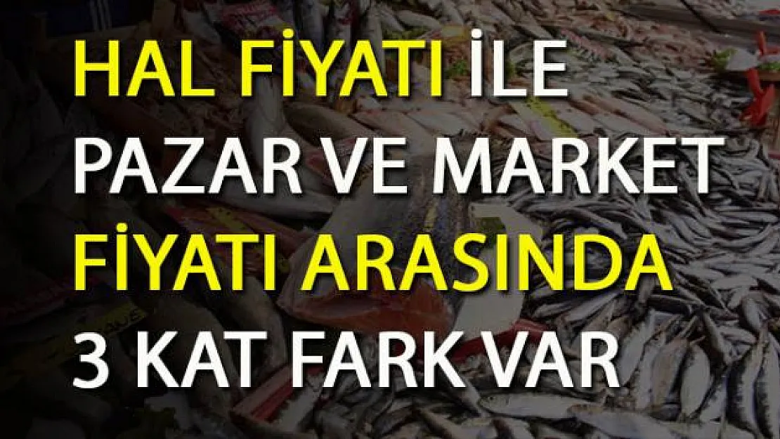 Pazar Ve Market Balık Fiyatları- Hal fiyatı ne kadar?