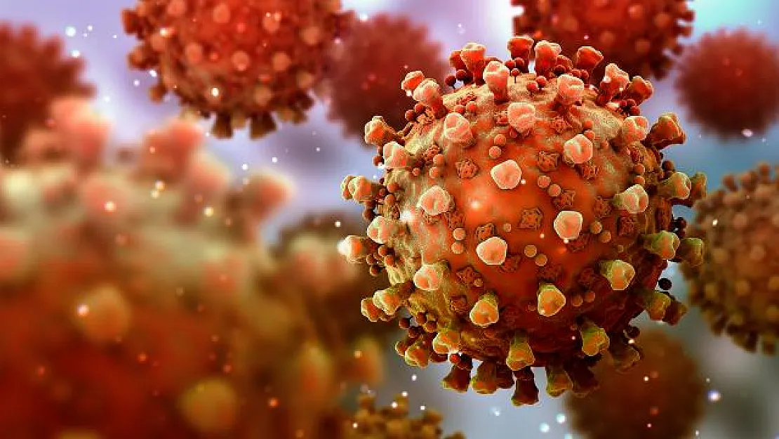 PCR testlerinde bile görünmeyen Fin-796H adlı yeni virüs ortaya çıktı!