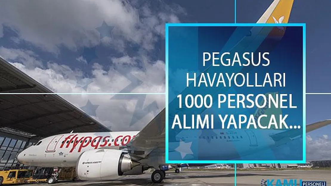 Pegasus Havayolları 1000 Personel Alımı Yapacak! Pegasus Havayolları 1000 Personel Alımı Başvuru Şartları Nelerdir?