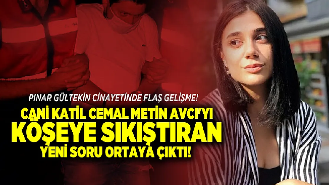 Pınar Gültekin cinayetinde flaş gelişme! Cani katil Cemal Metin Avcı'yı köşeye sıkıştıran yeni soru ortaya çıktı!