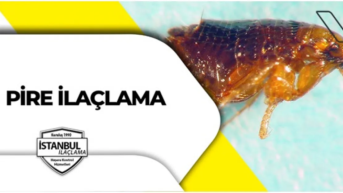 Pire ilaçlama