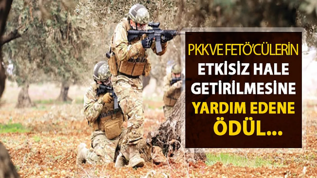 PKK ve FETÖ'cülerin Yakalanmasına veya Öldürülmesine Yardım Edene Vatan Ödülü Verilecek