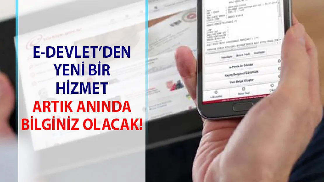 Plakalara yazılan trafik cezaları! Plakaya yazılan ceza bilgileri, e-devlet üzerinden anında öğrenilebilecek