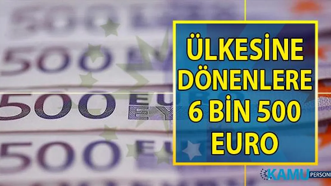 Portekiz hükümeti vatandaşlarını ülkeye geri getirmek için 6 bin 500 Euro teşvik programı başlattı