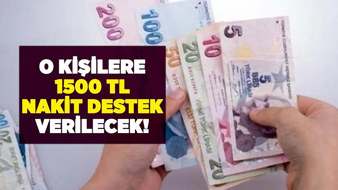 Resmen duyuruldu: O kişilere 1500 lira nakit destek verilecek