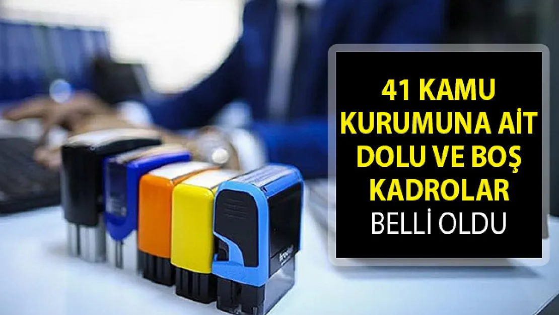 Resmi Gazete'de Yayımlandı! 41 Kamu Kurumuna Ait Dolu ve Boş Kadrolar Belli Oldu