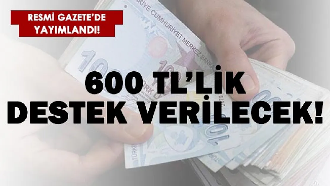 Resmi Gazete'de yayımlandı! 600 TL verilecek!