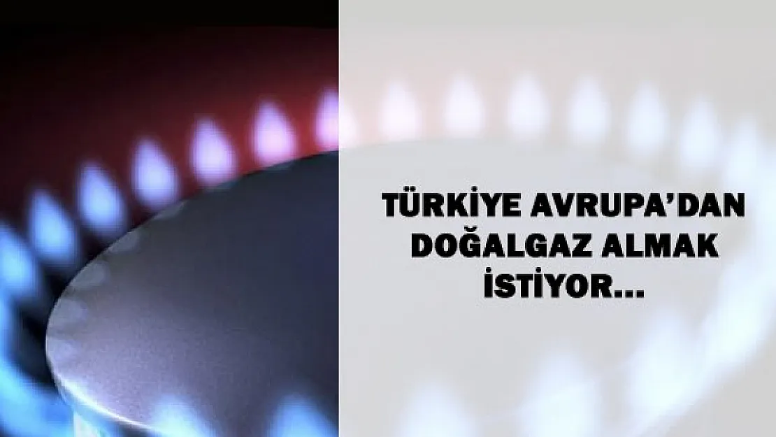 Rus Haber Ajansı : &quotTürkiye Avrupadan Doğal Gaz almak İstiyor"