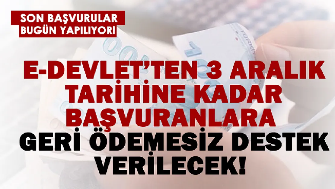 Sadece E-Devlet'ten 3 Aralık'a kadar başvuranlara geri ödemesiz destek verilecek!