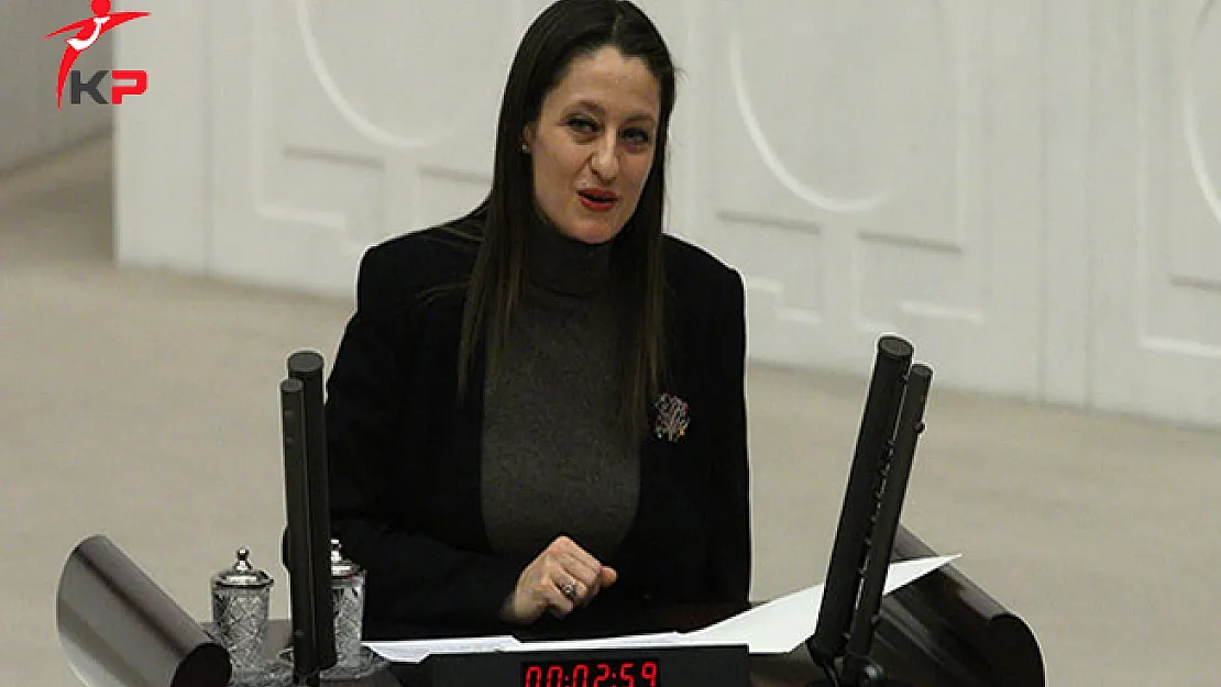 Şafak Pavey'in Milletvekilliğinin Düşürülmesi Kararı Resmi Gazete'de