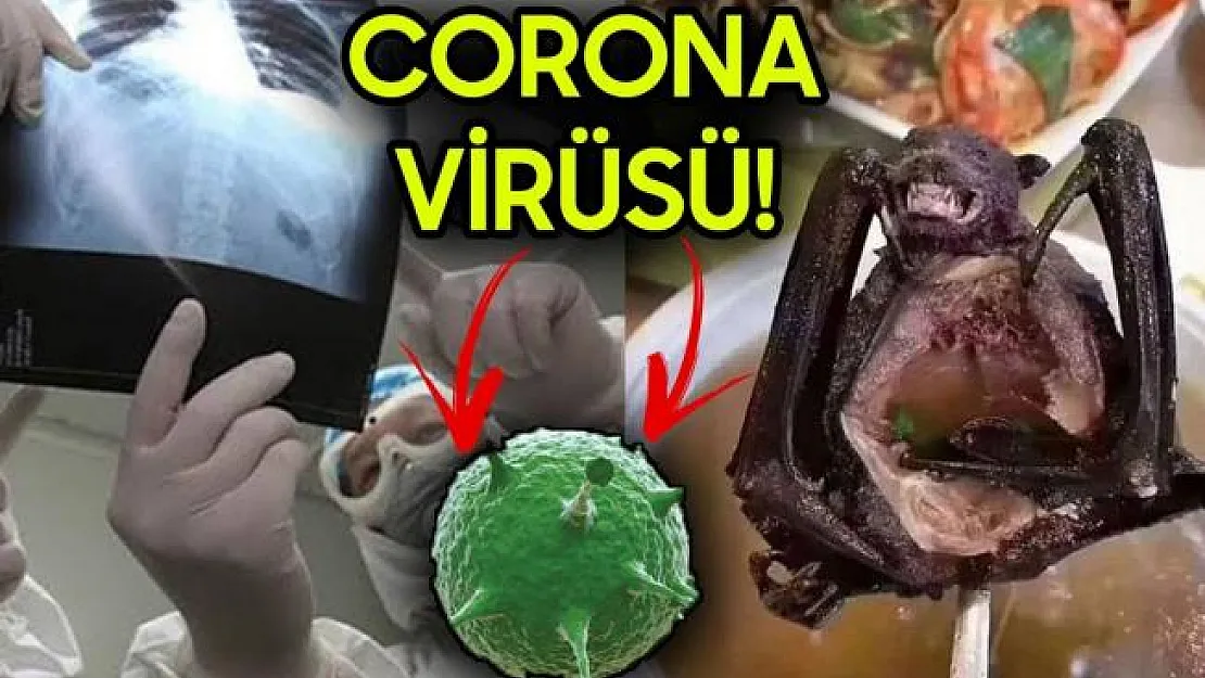 Sağlık Bakanı Corona Virüsü için yarından itibaren uygulanmaya başlanacağını açıkladı!