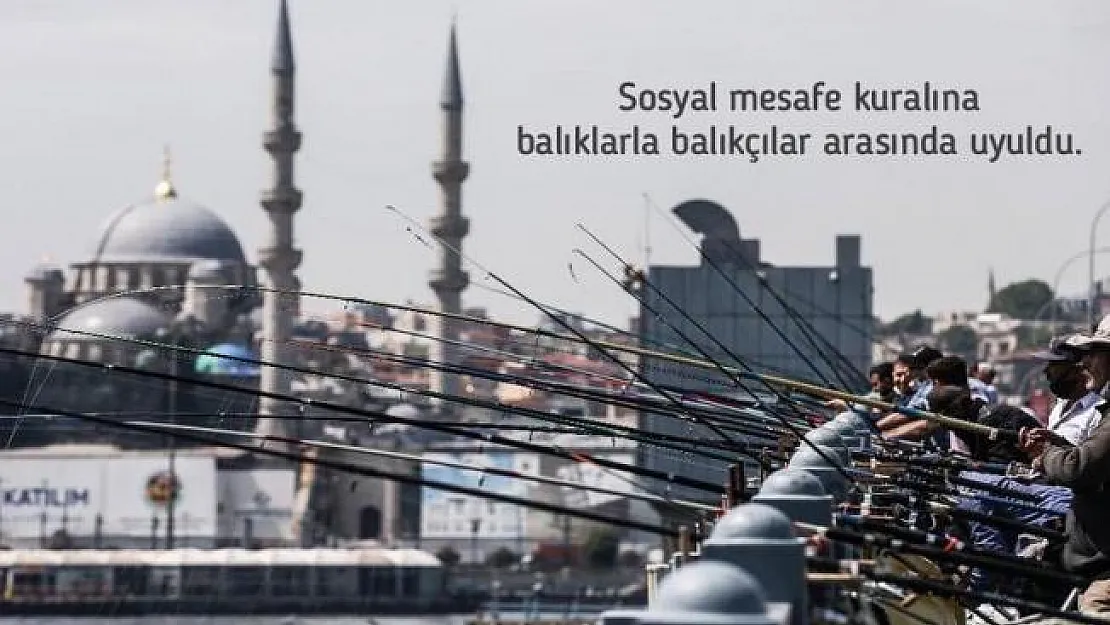 Sağlık Bakanı Koca köprüde balık tutanlara rast gelmesin dedi!