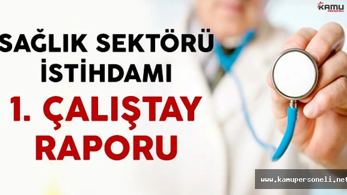 Sağlık Sektörü İstihdamı 1. Çalıştay Raporu