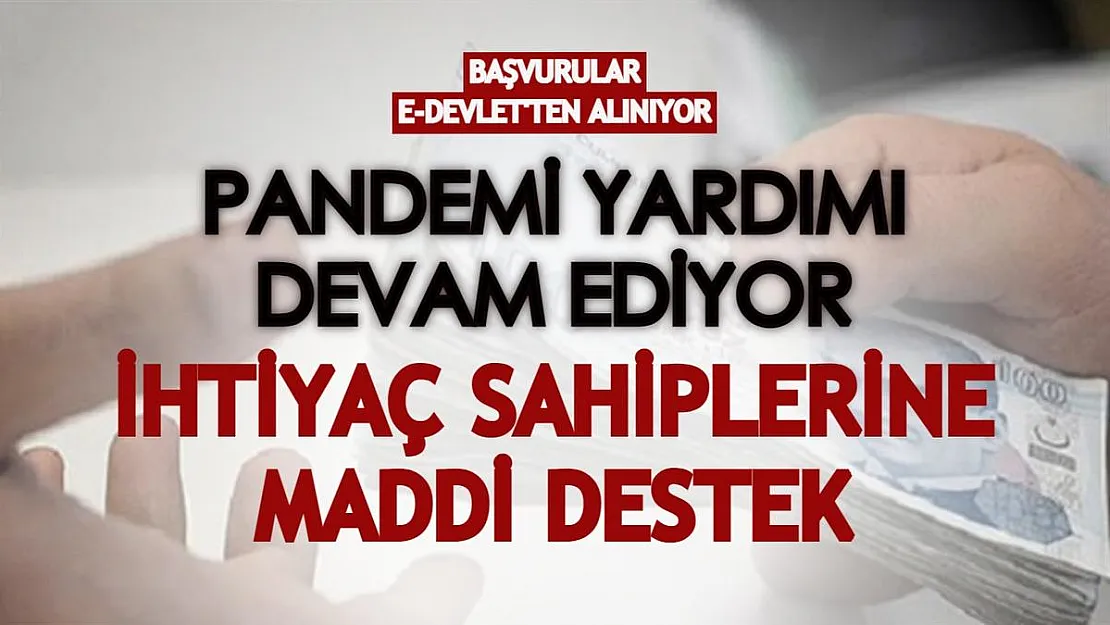 Salgın kapsamında vatandaşlara destek veriliyor! Pandemi yardımı başvuruları e-Devlet'ten yapılıyor