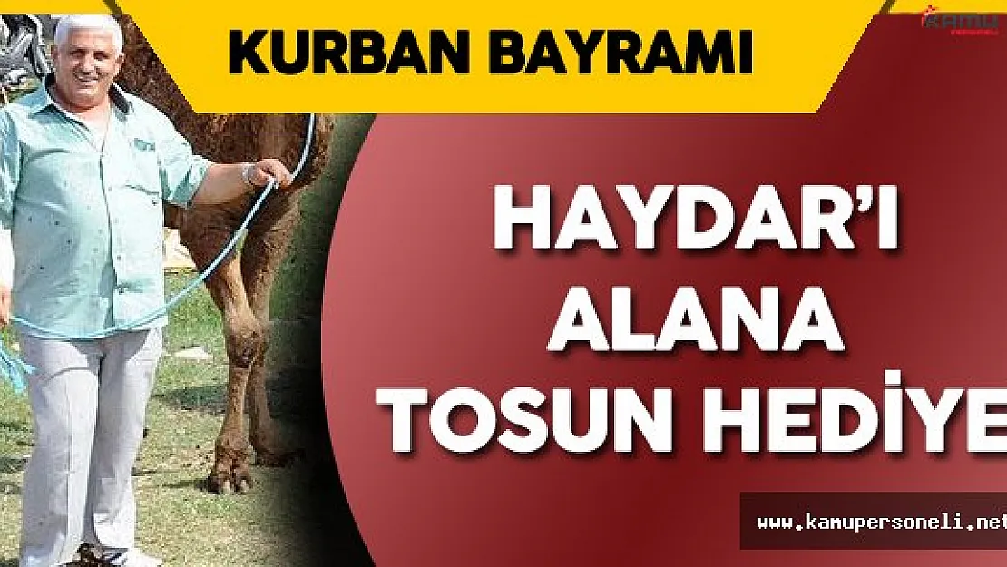 Samsunlu Besici 'Haydar 'ı Alana Tosun Hediye Kampanyası' Başlattı