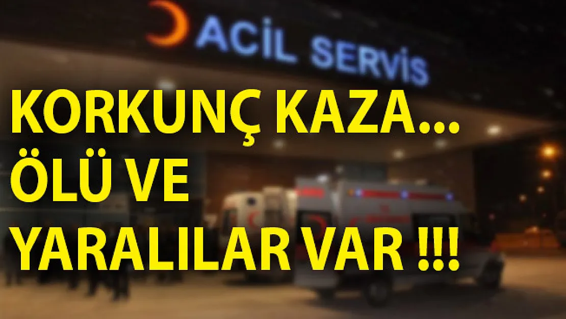Şanlıurfa'da Son Dakika! Şanlıurfa'da Trafik Kazası Ölü ve Yaralılar Var