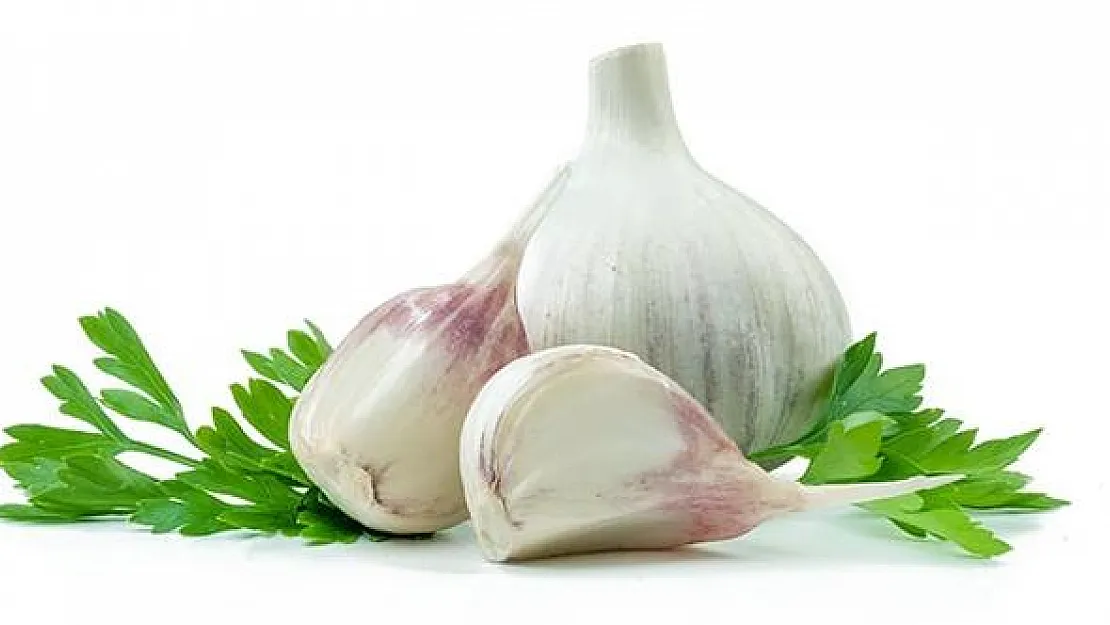 Sarımsak fiyatı ne kadar? Sarımsak nasıl tüketilmeli?