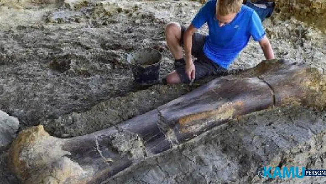Sauropod olarak bilinen en büyük dinazor türüne ait kemik bulundu
