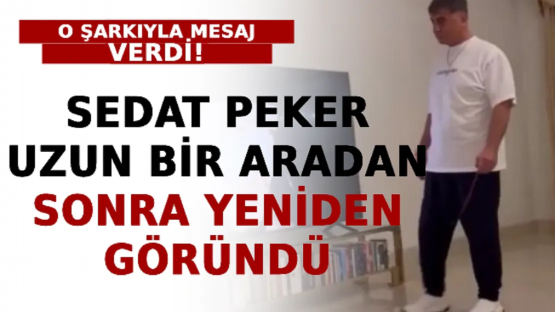 Sedat Peker Uzun Bir Aradan Sonra Yeniden Göründü: O Şarkıyla Mesaj Verdi!