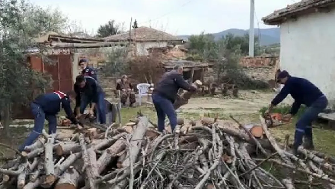Şehit annesinin odunlarını jandarma kırdı!