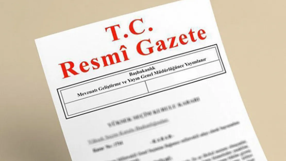 Serbest Muhasebeci, Mali Müşavir ve Yeminli Mali Müşavirlerin Meslek Faaliyetleri Hakkında Yönetmelikte Değişiklik Yapıldı