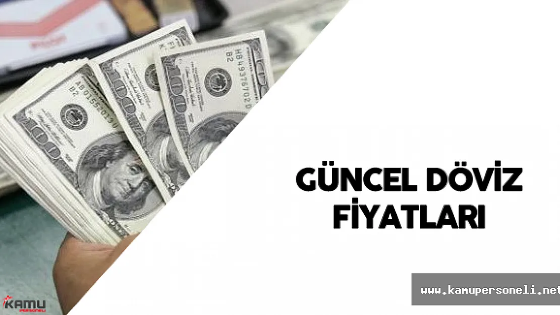 Serbest Piyasada Güncel Dolar Fiyatları
