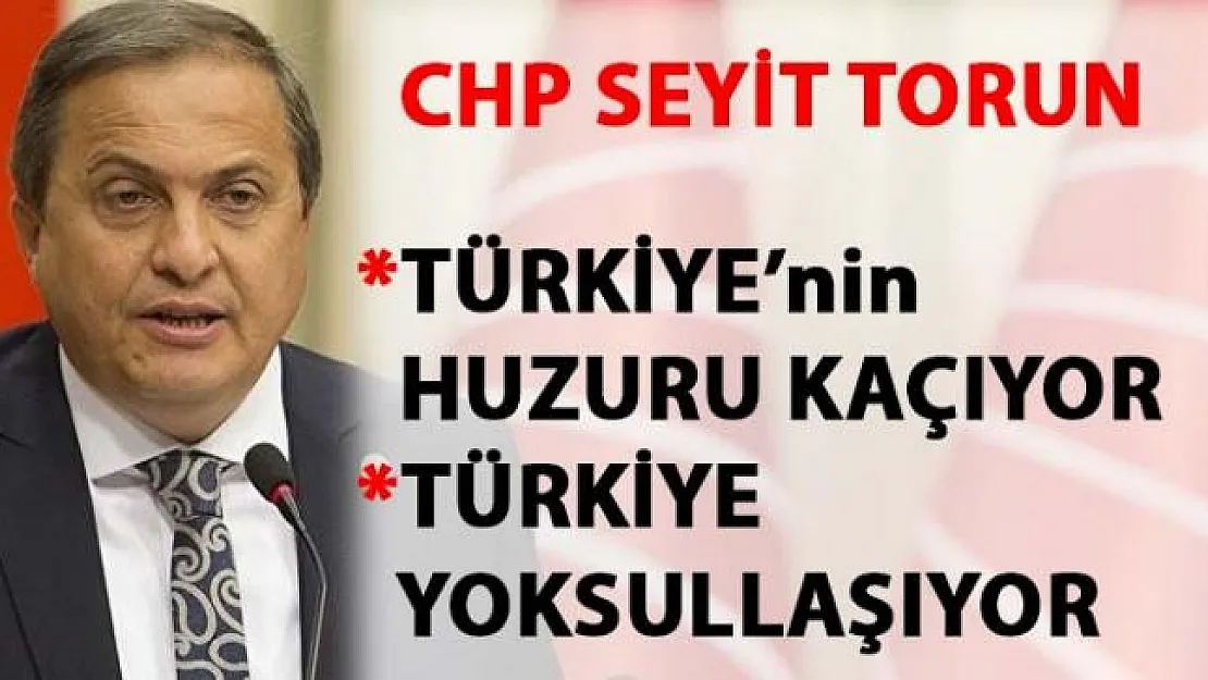 Seyit Torun: Türkiye, iktidarın ekonomi yönetiminin faturasını ödemekten bunaldı