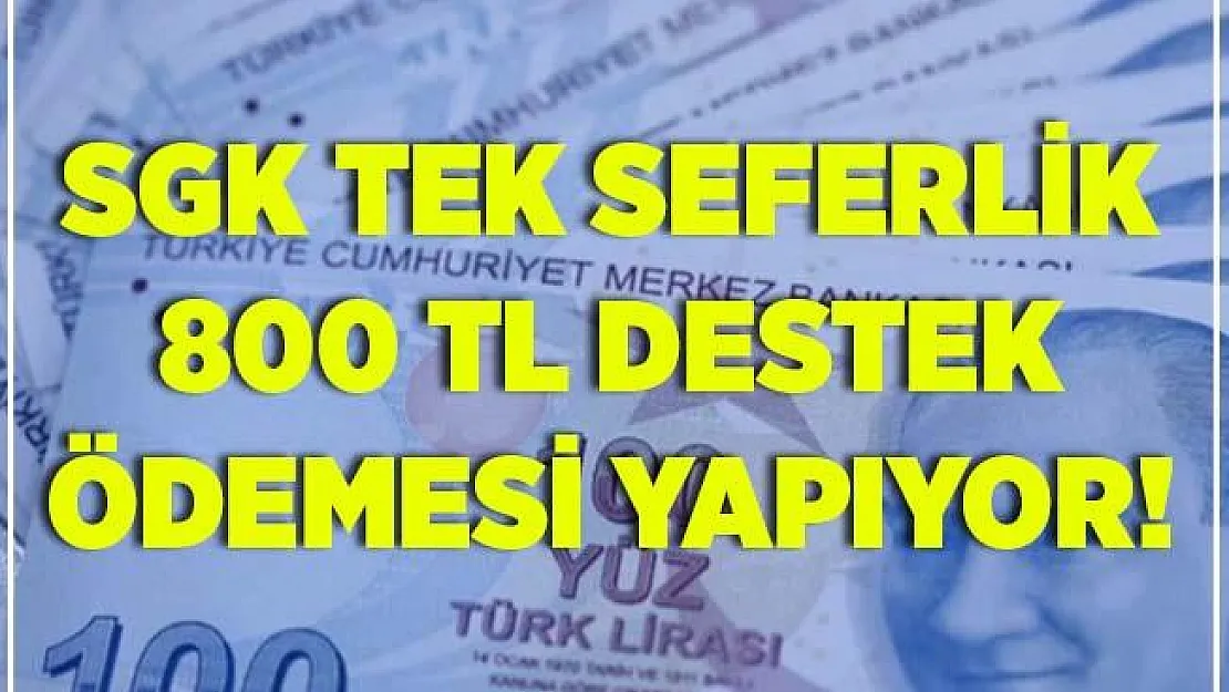 SGK duyurdu! Sigorta girişi olanların yakınlarına tek seferlik 800 TL ödeme yapılacak!