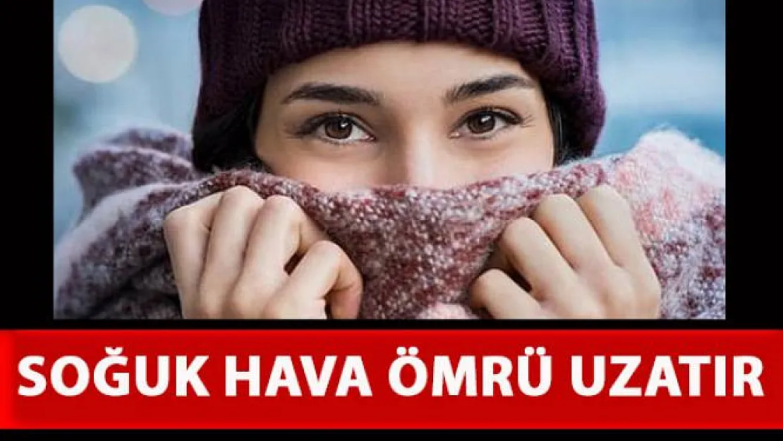 Sıcaklığın yaşam ömrü üzerindeki etkisi