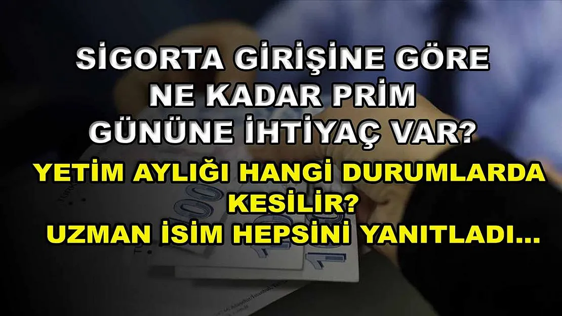 Sigorta girişine göre ne kadar prim gününe ihtiyaç var? Yetim aylığı hangi durumlarda kesilir? Uzman isim hepsini yanıtladı…