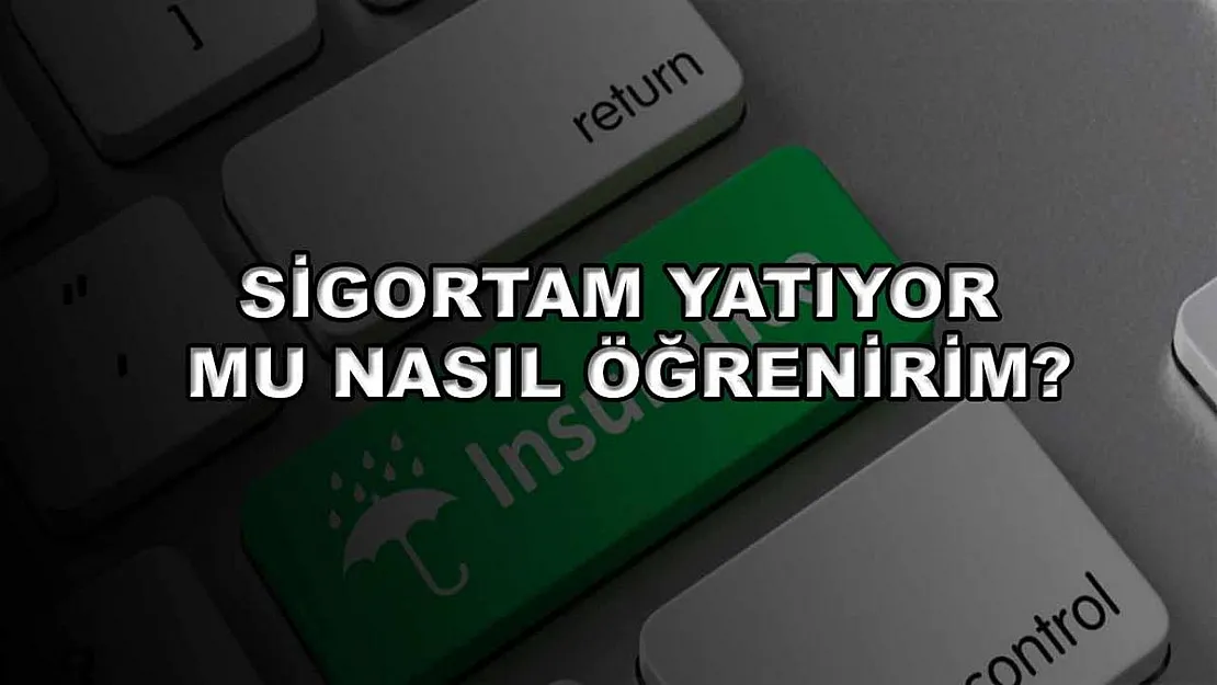 Sigortam Yatıyor Mu Nasıl Öğrenirim?
